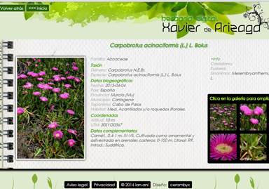 Páginas web de herbario en Vitoria - CERAMBYX